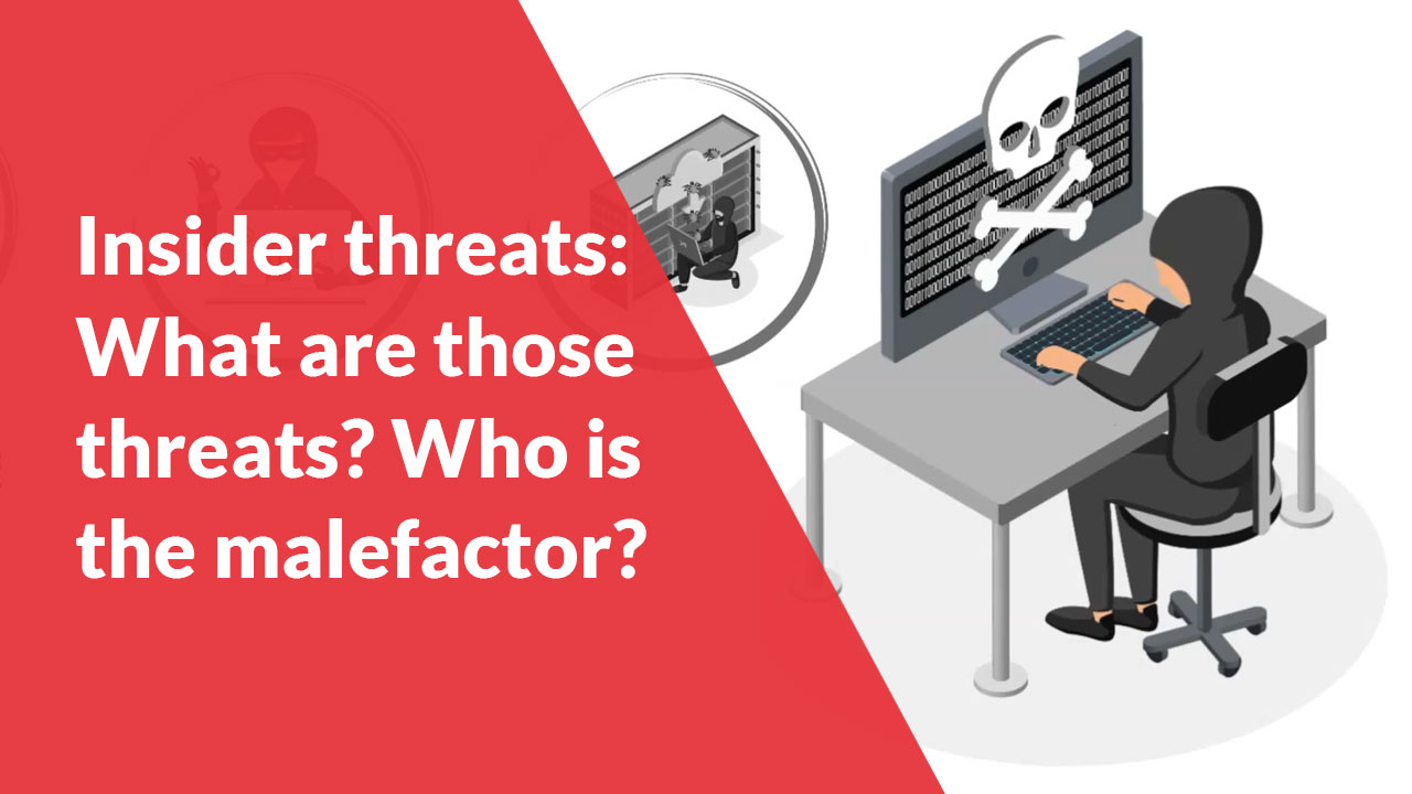 Insider threats: What are those threats? Who is the malefactor?